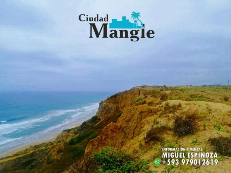 Foto Terreno en Venta en MONTECRISTI, Montecristi, Manabi - 15 hectareas - U$D 16.000 - TEV35590 - BienesOnLine