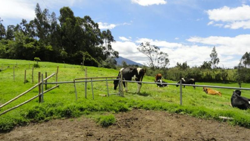 Finca en Venta en  Otavalo, Imbabura