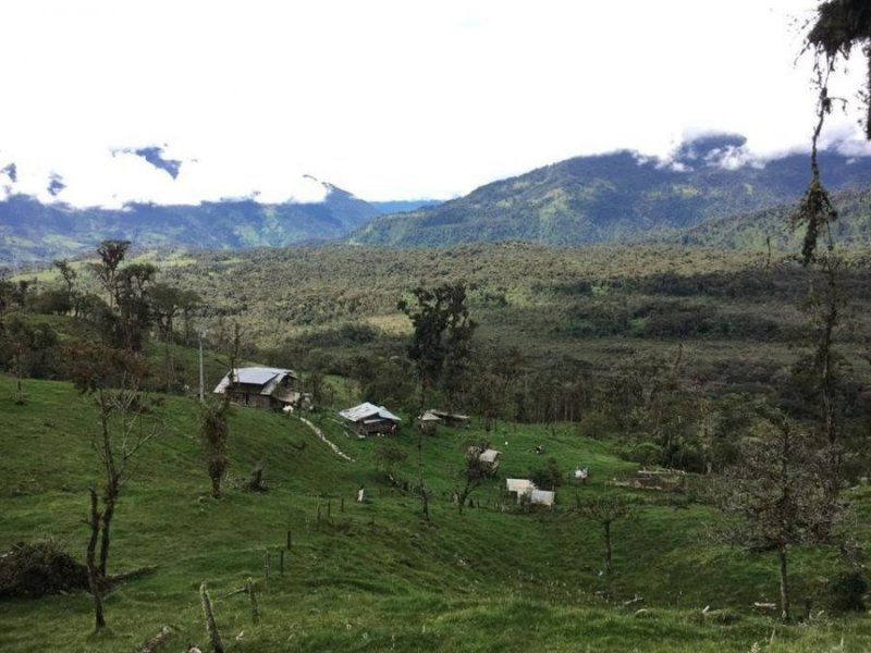 Finca en Venta en Cuyuja Quijos, Napo