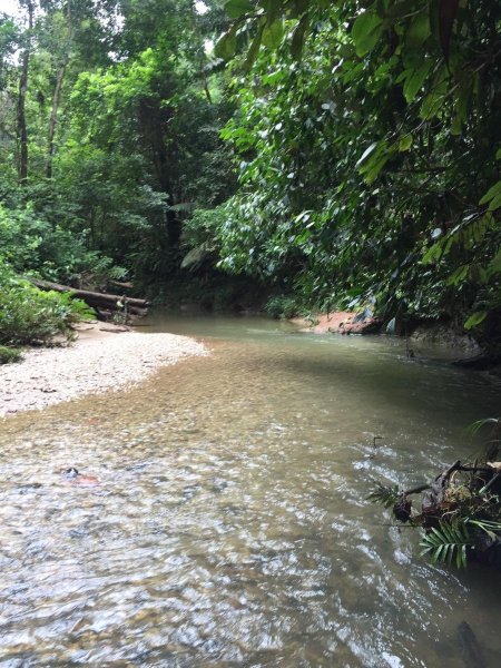 Finca en Venta en  Shalcana, Napo