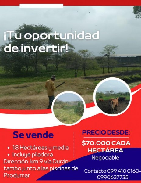 Venta de hectáreas de tierra, sector industrial Durán- Tambo