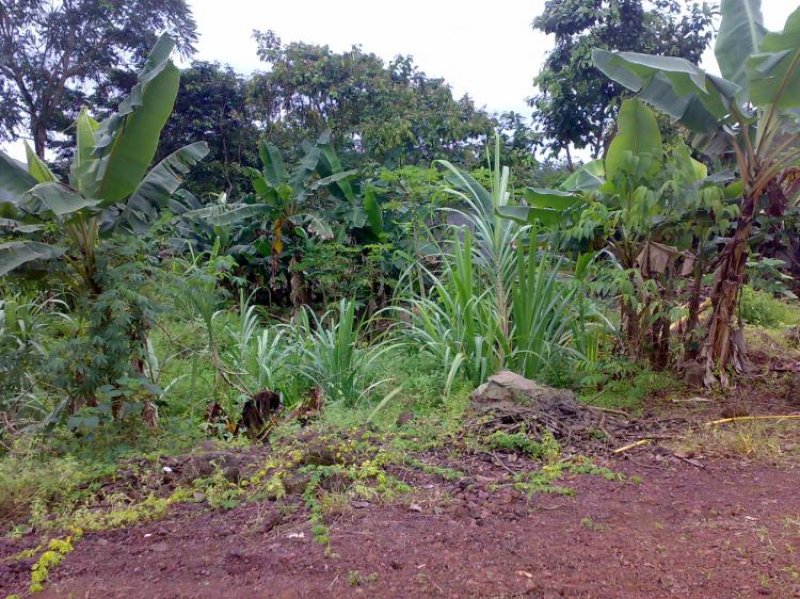 Foto Terreno en Venta en bellavista  via al cascajo, Santa Cruz, Galapagos - U$D 10.000 - TEV19793 - BienesOnLine