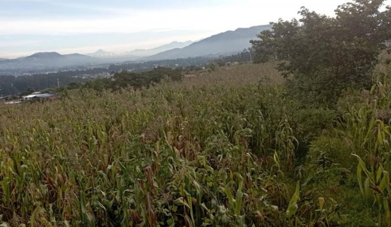 Terreno en Venta en Cuendina Amaguaña, Pichincha