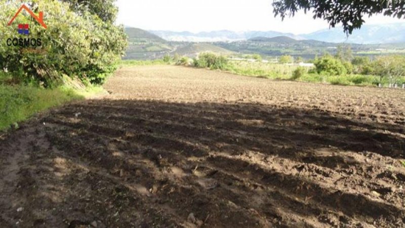 Terreno en Venta en  Antonio Ante, Imbabura