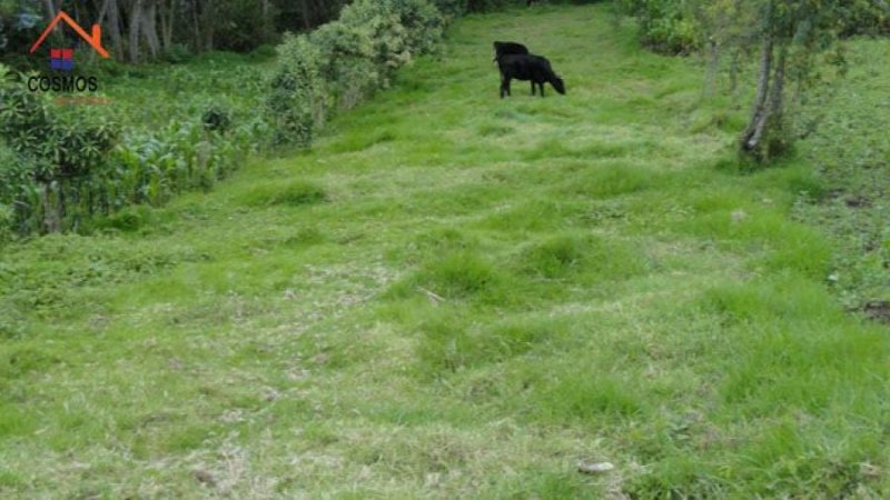 Foto Terreno en Venta en Otavalo, Imbabura - U$D 35.000 - TEV31747 - BienesOnLine