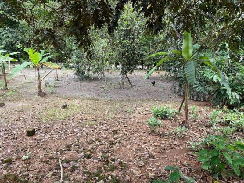 Terreno en Venta en  Puerto Quito, Pichincha