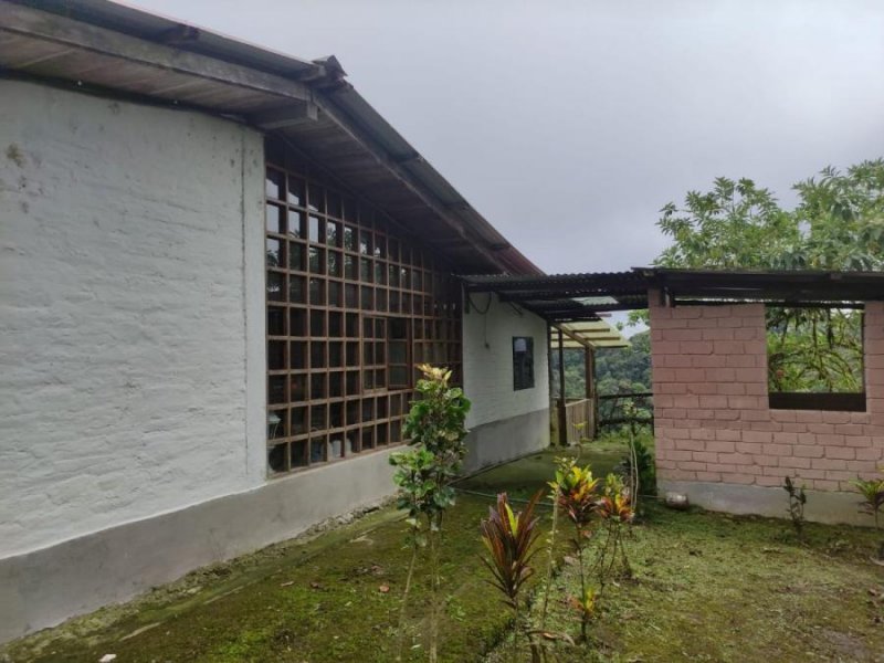 Finca en Venta en PUEBLO NUEVO SAN MIGUEL DE LOS BANCOS, Pichincha