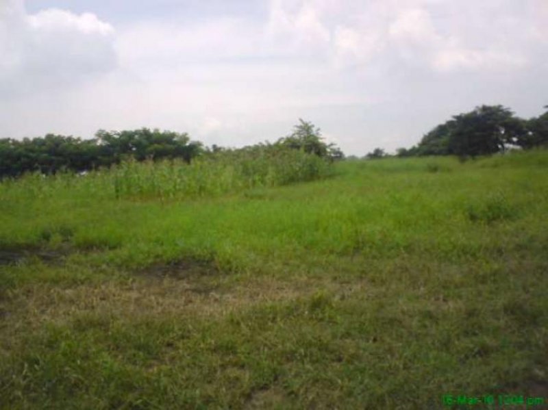 Foto Terreno en Venta en PASCUALES, Guayaquil, Guayas - U$D 7.410.000 - TEV17945 - BienesOnLine